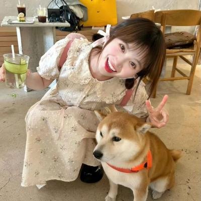 恶补青春